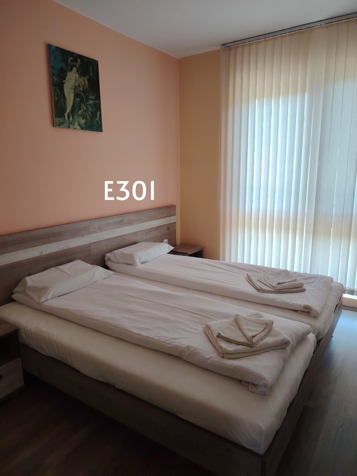 E301