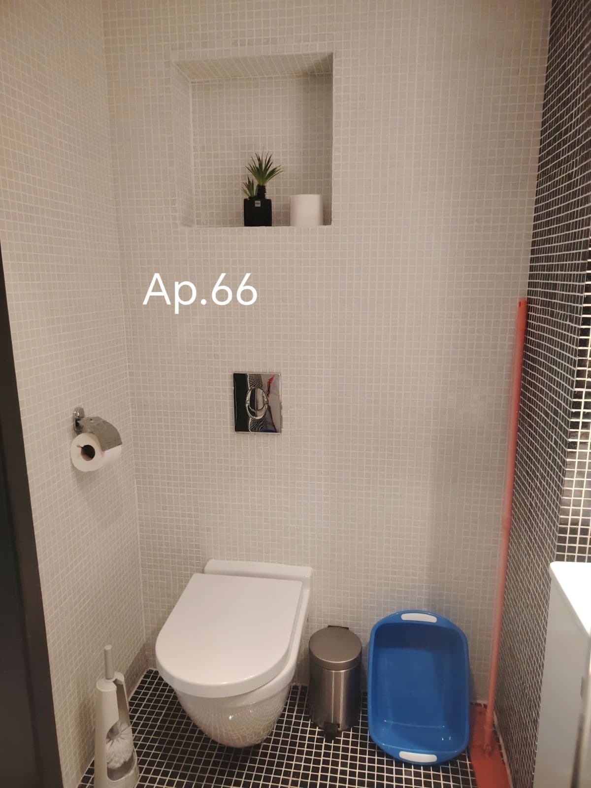 66